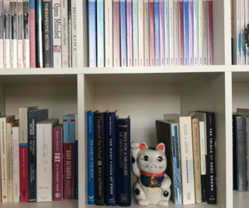 bookcase-lucky-kitty-2